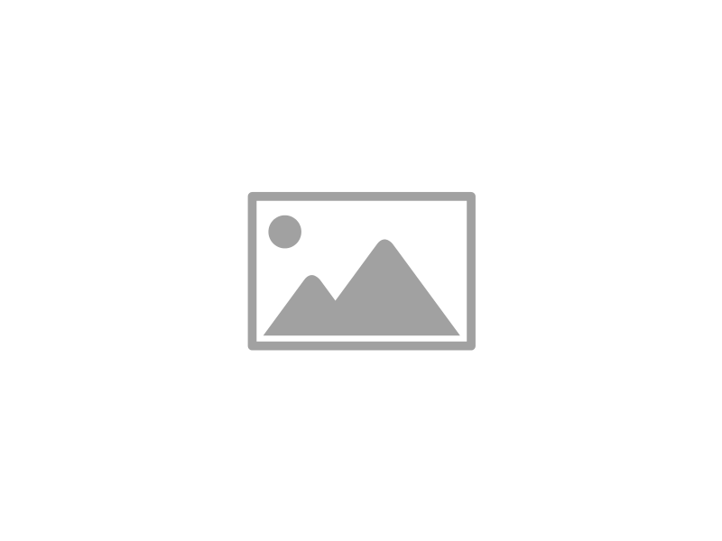 Mega